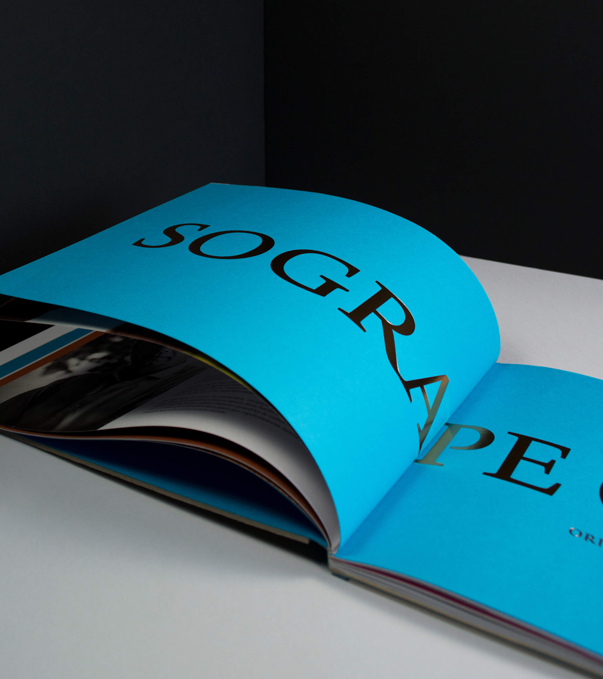 Sogrape Annual Report 2016